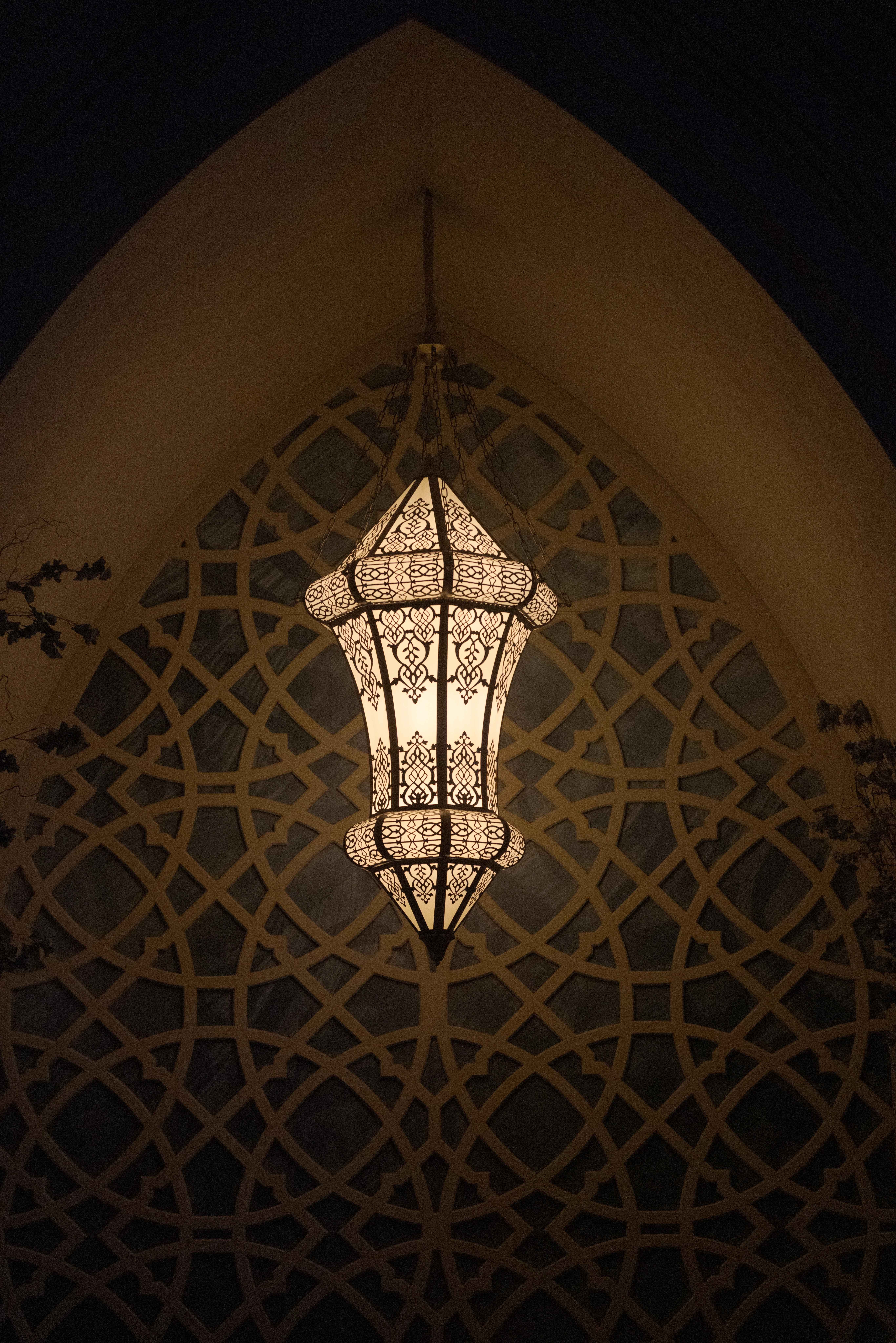 عدسة الديرة